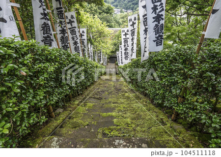 杉本寺(鎌倉)苔生した階段 杉本寺(鎌倉)苔生した階段 104511118