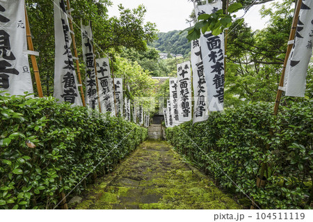 杉本寺(鎌倉)苔生した階段 杉本寺(鎌倉)苔生した階段 104511119