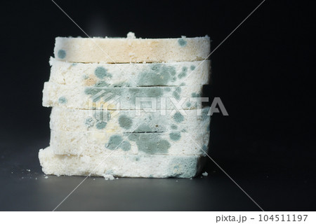 bread with mildew. Spoiled products bread with mildew. Spoiled products 104511197