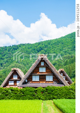 夏の白川郷 夏の白川郷 104511258