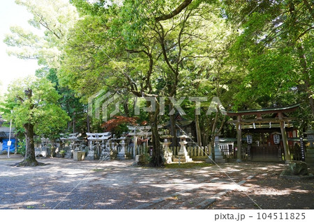 大阪 泉佐野 日根神社境内社 比賣神社等(初夏) 大阪 泉佐野 日根神社境内社 比賣神社等(初夏) 104511825