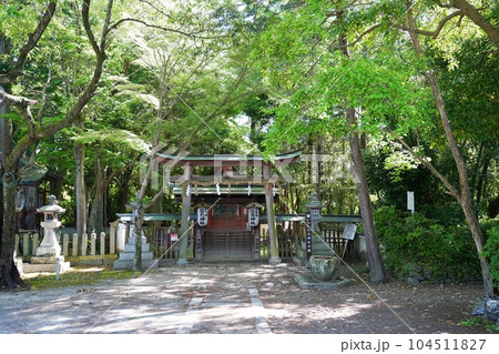 大阪 泉佐野 日根神社摂社 比賣神社(初夏) 大阪 泉佐野 日根神社摂社 比賣神社(初夏) 104511827
