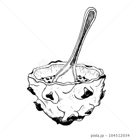 Vector dragon fruit half dessert with spoon black and white illustration. Tropical Asian pitaya clipart. Realistic line drawing for exotic flavours, summer designs 104512034