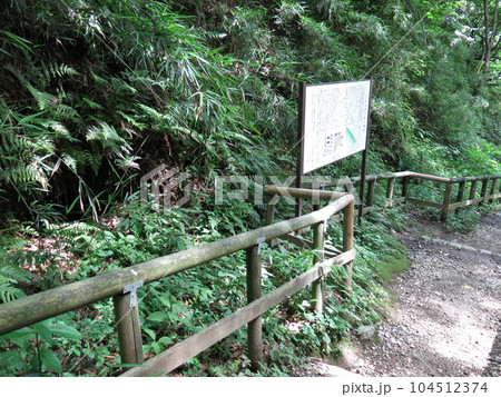 川崎市の生田緑地にある生田長者穴横穴墓群 川崎市の生田緑地にある生田長者穴横穴墓群 104512374