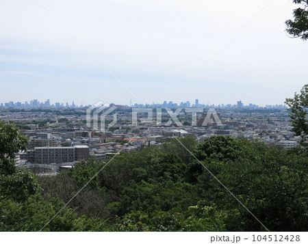 生田緑地の飯室山広場(飯室山展望台)からの眺め(東側 東京方向 東京都庁・東京スカイツリーなど) 生田緑地の飯室山広場(飯室山展望台)からの眺め(東側 東京方向 東京都庁・東京スカイツリーなど) 104512428
