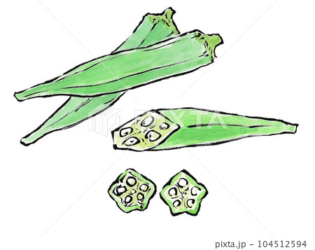 みずみずしい夏野菜　ねばねばが健康の素　オクラ 104512594