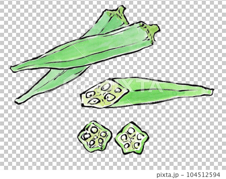 みずみずしい夏野菜　ねばねばが健康の素　オクラ 104512594