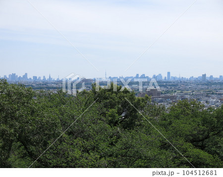 生田緑地の枡形山展望台からの眺め（東側 東京方向 東京都庁・東京スカイツリー・東京タワーなど） 104512681