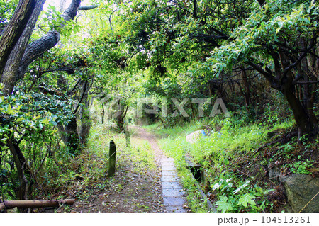 【香川】初夏の大島 自然たっぷりの散策路 【香川】初夏の大島 自然たっぷりの散策路 104513261