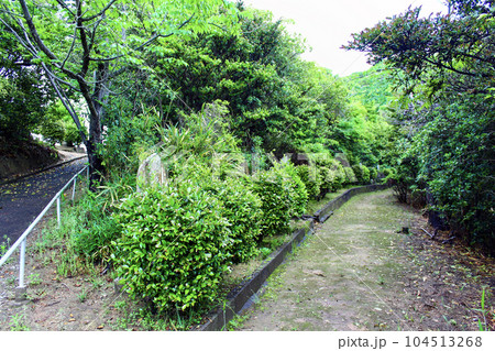 【香川】初夏の大島　大島石仏八十八か所の石仏 104513268