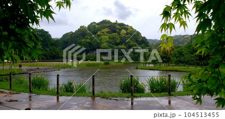 初夏の鎌倉の雨の永福寺跡【5月】 初夏の鎌倉の雨の永福寺跡【5月】 104513455