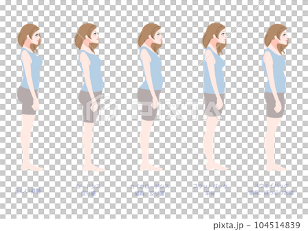 横から見た不良姿勢の女性セット 104514839