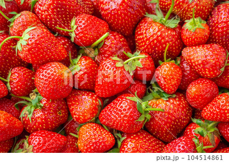 Fresh organic Strawberry fruit background Top view closeup 104514861