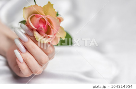 Stylish trendy female manicure. Stylish trendy female manicure. 104514954
