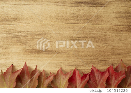 Thanksgiving background with leaves on wooden 104515226