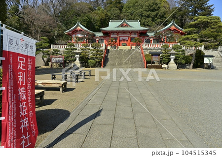 足利織姫神社の社殿 足利織姫神社の社殿 104515345