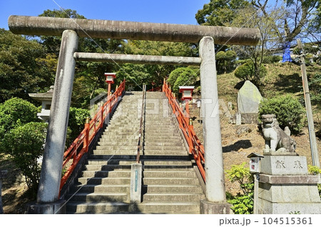 足利織姫神社の参道石段に鳥居と狛犬 104515361