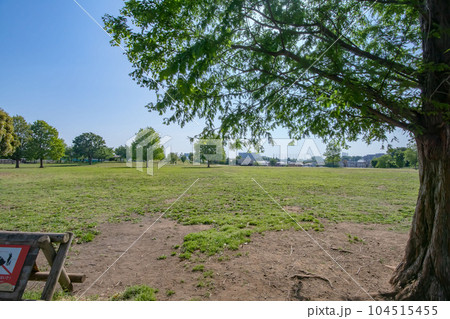 東京都立東伏見公園 104515455