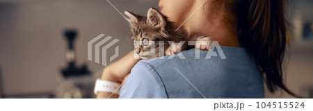 Veterinarian holds scared little kitten at appointment in modern clinic Veterinarian holds scared little kitten at appointment in modern clinic 104515524