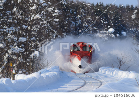 鉄道防雪林をバックに積もった雪も跳ねのけて進むラッセル機関車 104516036