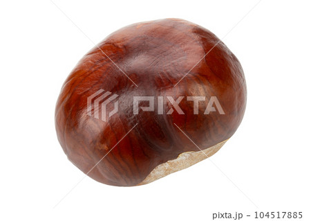 Horse-chestnut (Aesculus) fruits isolated on white background. 104517885
