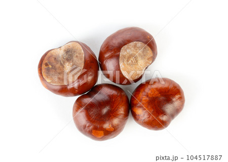 Bunch of horse chestnuts isolated on white background 104517887
