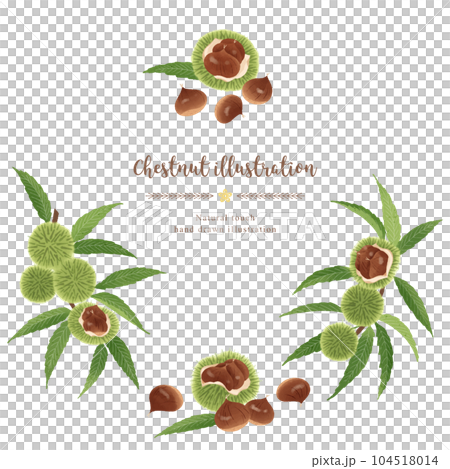 ナチュラルなタッチの栗のイラスト/サークル ナチュラルなタッチの栗のイラスト/サークル 104518014