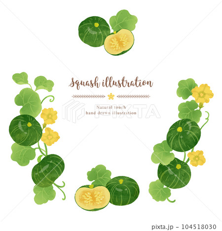 ナチュラルなタッチのかぼちゃのイラスト/サークル ナチュラルなタッチのかぼちゃのイラスト/サークル 104518030