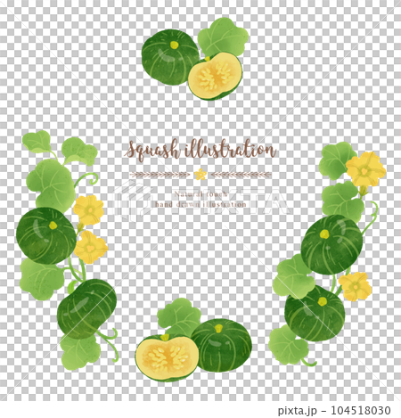 ナチュラルなタッチのかぼちゃのイラスト/サークル ナチュラルなタッチのかぼちゃのイラスト/サークル 104518030