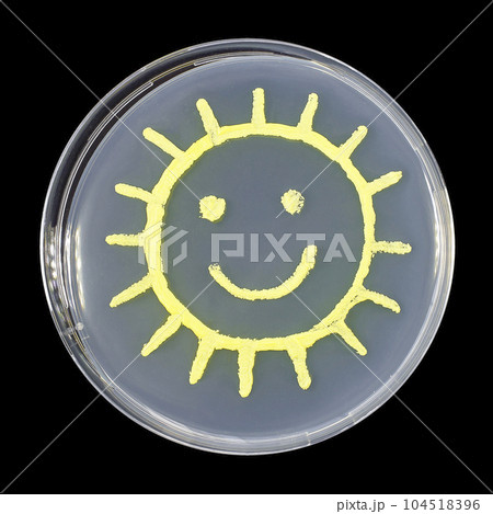 Sun, microbial art 104518396