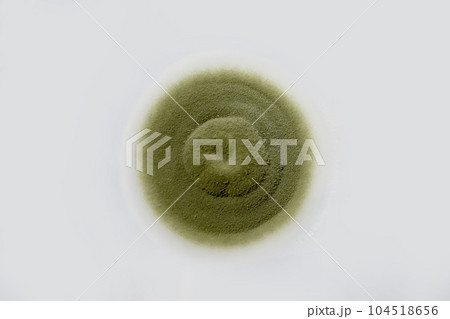 Colony of a mold fungus cultivated from indoor air Colony of a mold fungus cultivated from indoor air 104518656