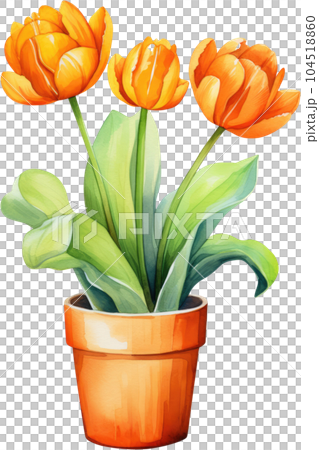 Tulip Flower in Pot Watercolor Painting. Clipart Colorful Tulips Flowerpot. Tulip Flower in Pot Watercolor Painting. Clipart Colorful Tulips Flowerpot. 104518860