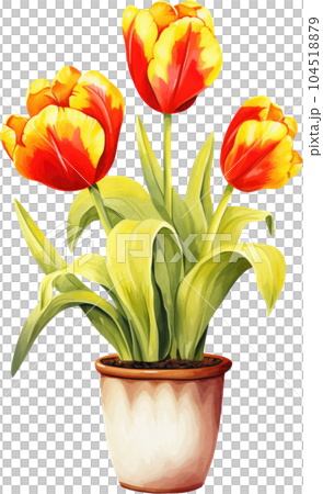 Tulip Flower in Pot Watercolor Painting. Clipart Colorful Tulips Flowerpot. Tulip Flower in Pot Watercolor Painting. Clipart Colorful Tulips Flowerpot. 104518879