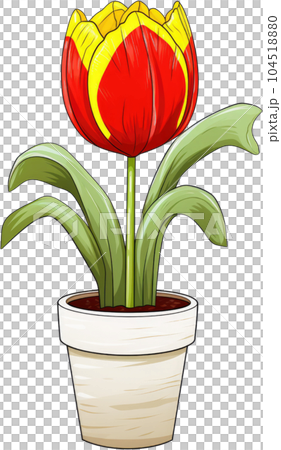 Tulip Flower in Pot Watercolor Painting. Clipart Colorful Tulips Flowerpot. Tulip Flower in Pot Watercolor Painting. Clipart Colorful Tulips Flowerpot. 104518880