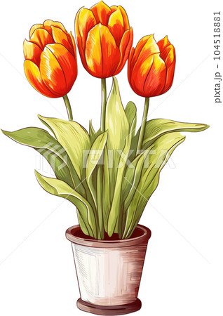 Tulip Flower in Pot Watercolor Painting. Clipart Colorful Tulips Flowerpot. 104518881