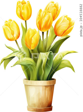 Tulip Flower in Pot Watercolor Painting. Clipart Colorful Tulips Flowerpot. 104518882