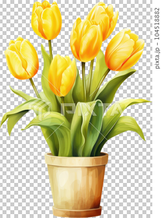 Tulip Flower in Pot Watercolor Painting. Clipart Colorful Tulips Flowerpot. 104518882