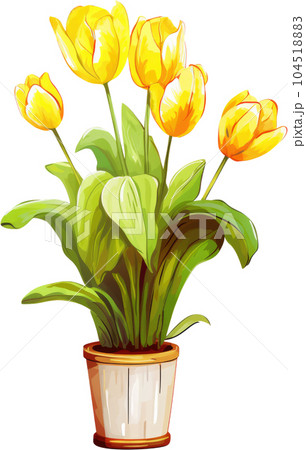 Tulip Flower in Pot Watercolor Painting. Clipart Colorful Tulips Flowerpot. 104518883