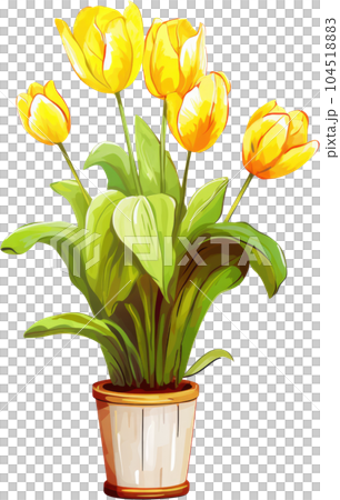 Tulip Flower in Pot Watercolor Painting. Clipart Colorful Tulips Flowerpot. 104518883