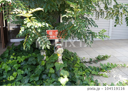 マンションの送水栓 104519116