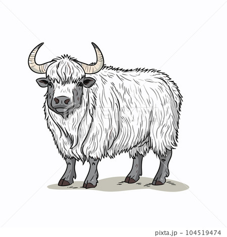 Bullock hand-drawn illustration. Bullock. Vector doodle style cartoon illustration Bullock hand-drawn illustration. Bullock. Vector doodle style cartoon illustration 104519474