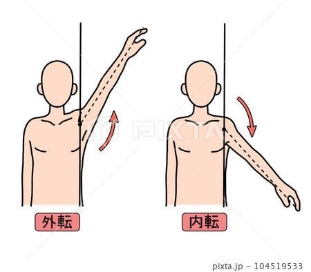 外転内転 104519533