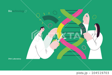 Bio Technology, DNA Laboratory -modern vector concept illustration of scientists dissecting DNA double helix, manipulating and rearranging fragments. Metaphor of advancements in agriculture, medicine 104519703
