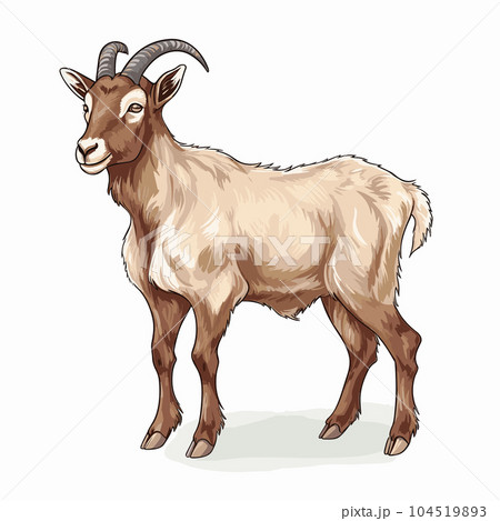 Goat hand-drawn illustration. Goat. Vector doodle style cartoon illustration Goat hand-drawn illustration. Goat. Vector doodle style cartoon illustration 104519893