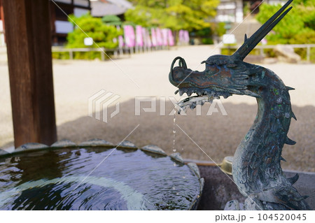 手水舎の龍 104520045