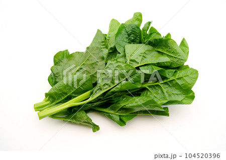 つるむらさき つるむらさき 104520396