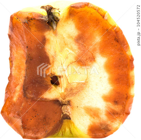 Apple rot. Apple rot. 104520572