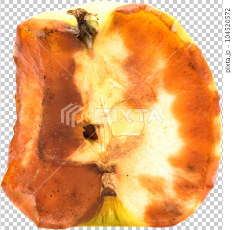 Apple rot. Apple rot. 104520572