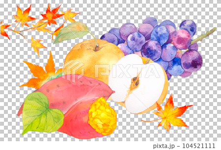 ブドウと梨とさつまいもの秋の果物ギフト水彩イラスト 104521111