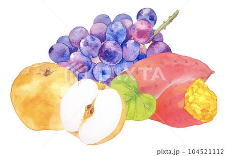 秋の味覚ブドウと梨とさつまいもの贈り物水彩イラスト 104521112